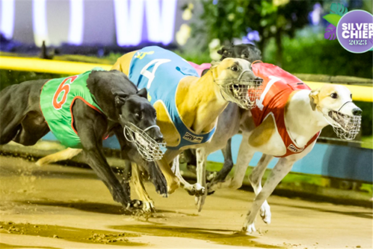 Morton (B6) prevails in a thrilling three-way finish at The Meadows