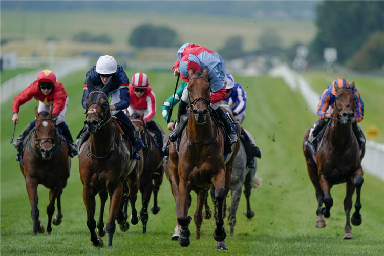 MOSS TUCKER (light blue/red cap) winning the Flying Five Stakes at Curragh in Kildare, Ireland.