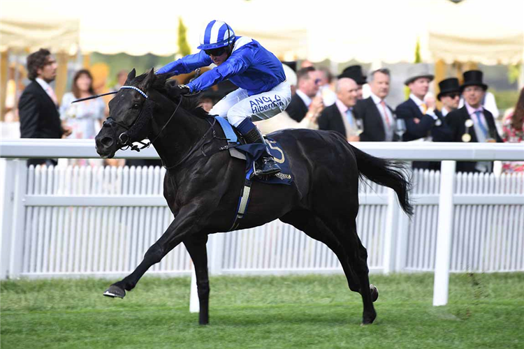 MOSTAHDAF winning the Prince Of Wales's Stakes at Ascot in England.