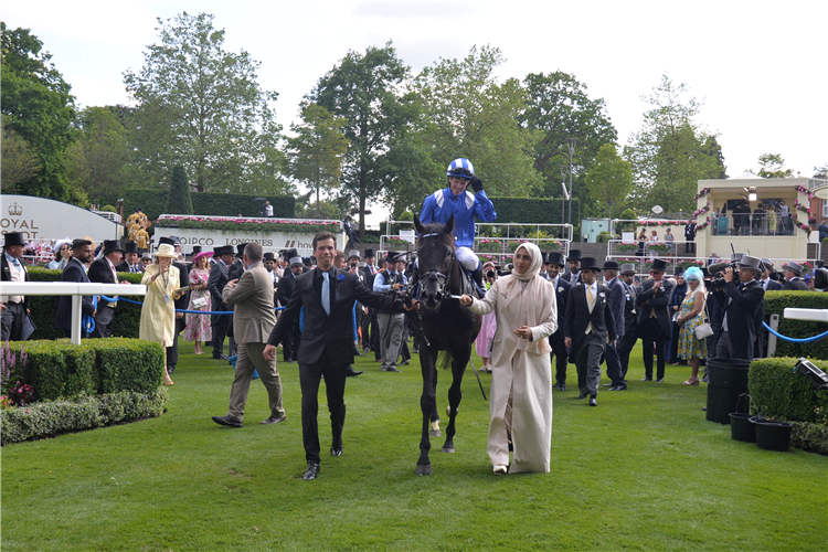 MOSTAHDAF returns to scale after winning the Group 1 Prince of Wales' Stakes at the 2023 Royal Ascot Carnival.
