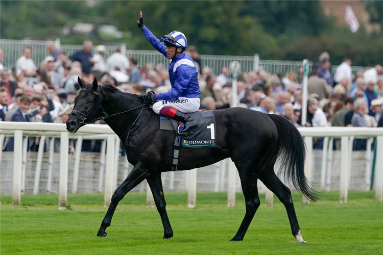 MOSTAHDAF after winning the International Stakes at York in England.