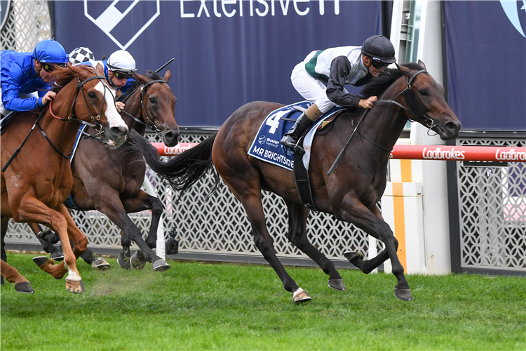 MR BRIGHTSIDE winning the The Sharp EIT ALL-STAR MILE at Moonee valley in Australia.