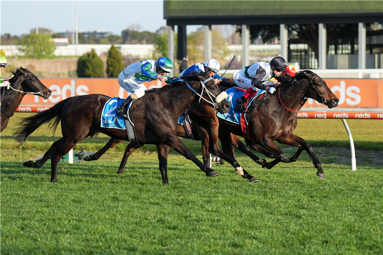 MR BRIGHTSIDE winning the Stow Storage Memsie Stakes at Caulfield in Australia.