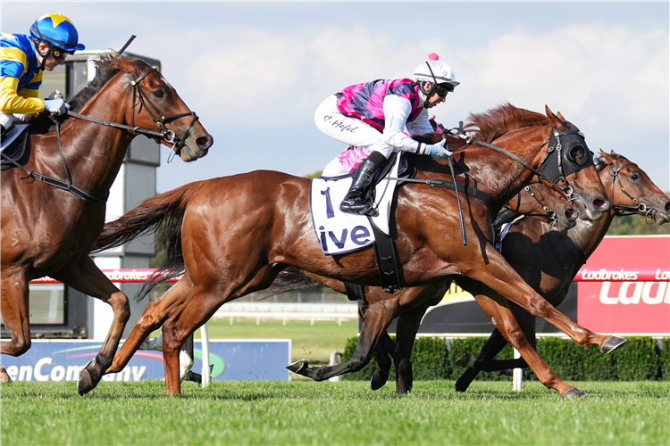 MR MONEY BAGS winning the ive > Handicap at Ladbrokes Park Hillside in Springvale, Australia.