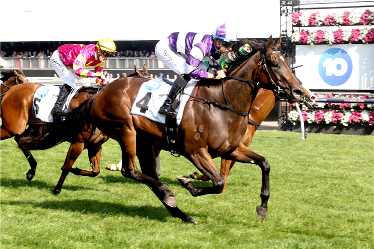 MUMBAI MUSE winning the The Bachelors Red Roses Stakes at Flemington in Australia.