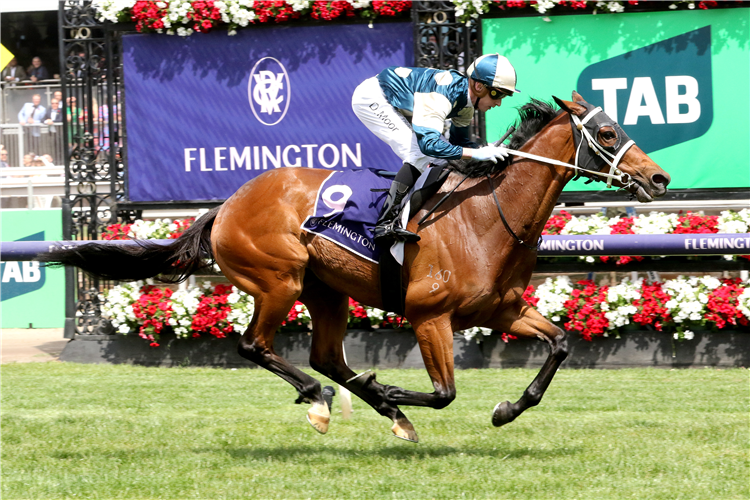 MURAMASA winning the Queen Elizabeth Stakes at Flemington in Australia.