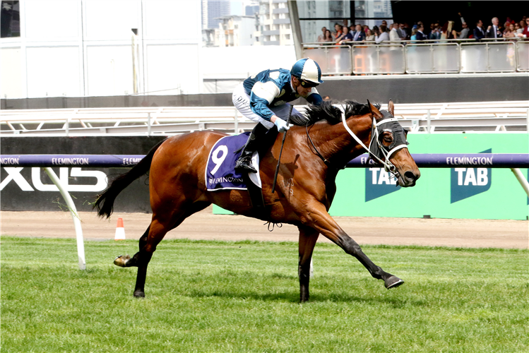 MURAMASA winning the Queen Elizabeth Stakes at Flemington in Australia.