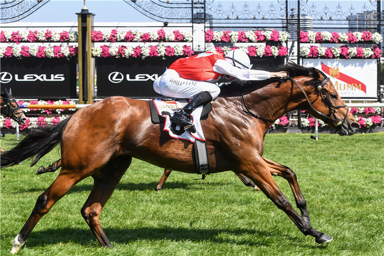 NAJEM SUHAIL winning the G.H. Mumm Century Stakes in Flemington, Australia.