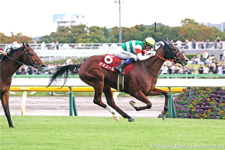 NAMUR winning the Fuji Stakes at Tokyo in Japan.