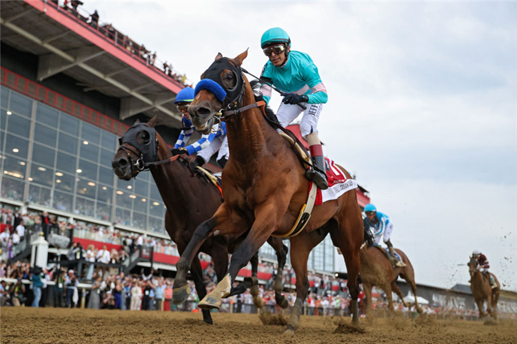 NATIONAL TREASURE winning the Preakness Stakes at Pimlico in Baltimore, Maryland.