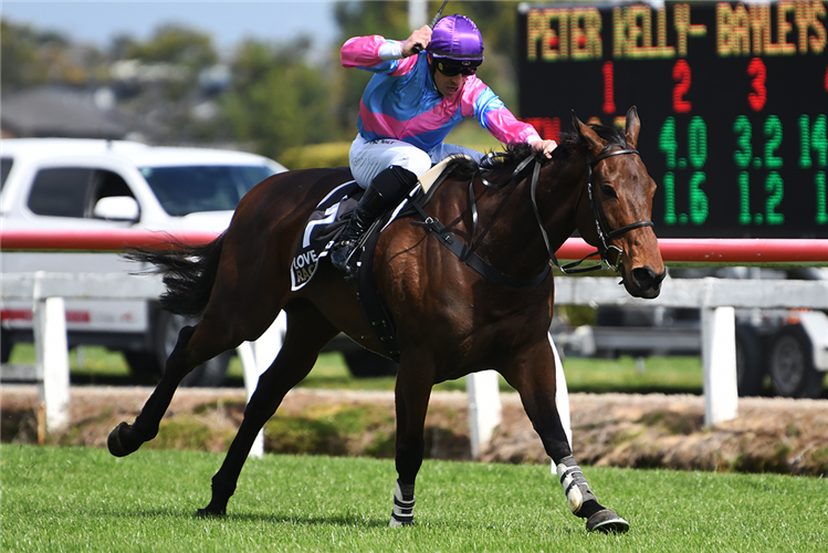 Daring Kuru claims Northern Hurdle with Nedwin