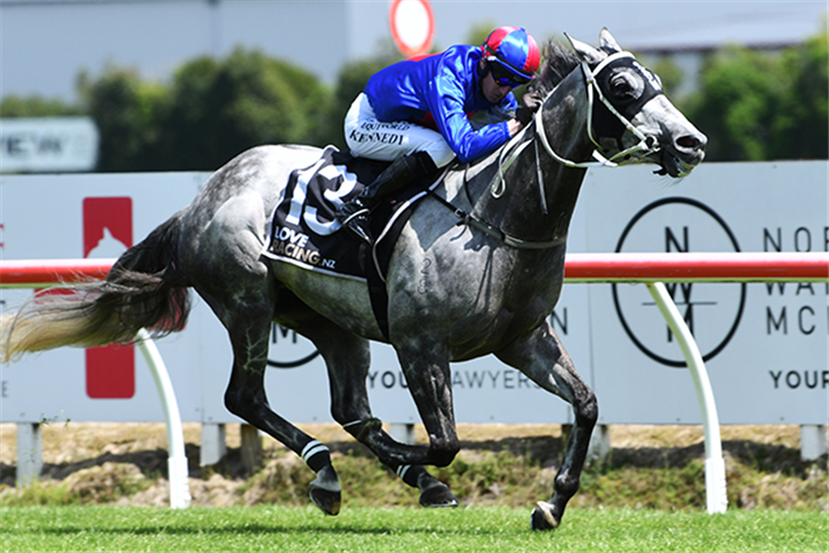 Nest Egg provides perfect New Zealand Cup rehearsal