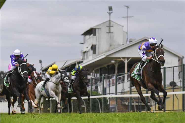 Hawkesbury Cup Day is among the 6 Horse Challenge.