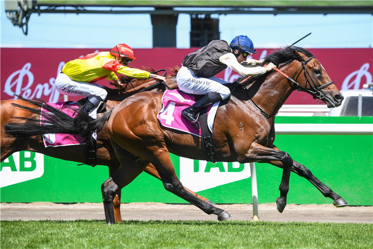 NOBEL HEIGHTS winning the Asian Racing Federation Trophy at Flemington in Australia.