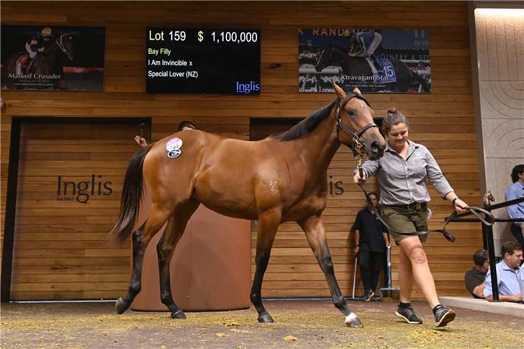 Noorilim Park's $1.1m filly, bought by TFI.