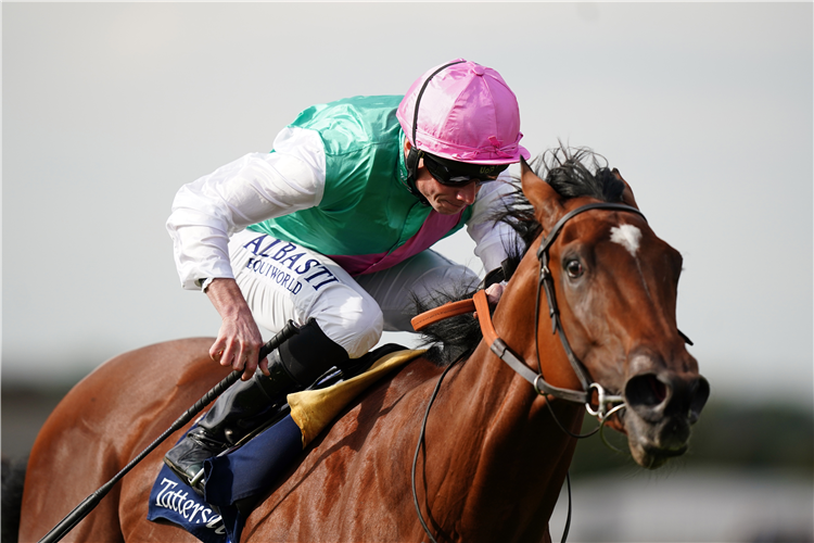 NOSTRUM - Qipco 2000 Guineas having been ruled out of the early part of the season with a setback.
