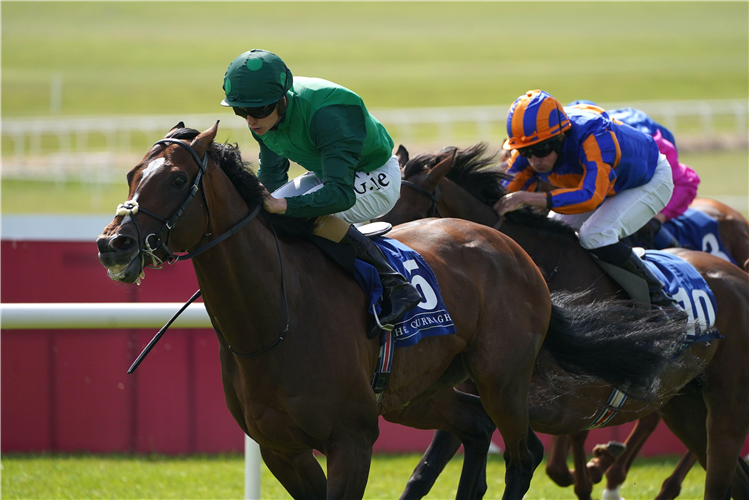 NUSRET ridden by Mikey Sheehy (left)