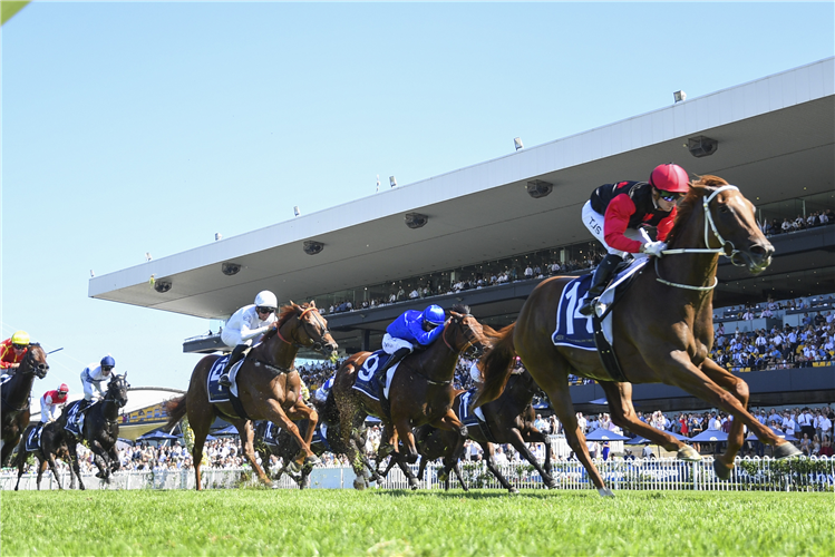 OPAL RIDGE winning the IRRESISTIBLE POOLS DARBY MUNRO STAKES at Rosehill in Australia.