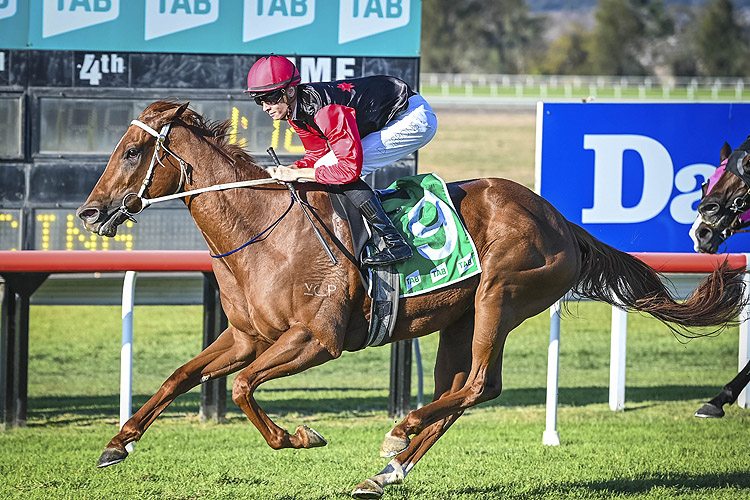 OPAL RIDGE winning the SCONE EQUINE HOSPITAL LUSKIN STAR STAKES [LISTED RACE].