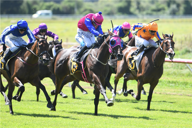 OPAWA JACK winning the HAPPY HIRE WAIRARAPA CUP