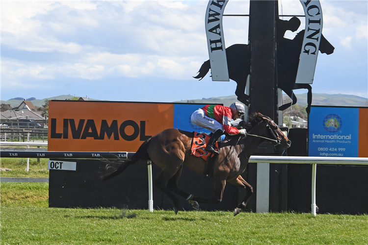 Group Three reward at last for Our Alley Cat