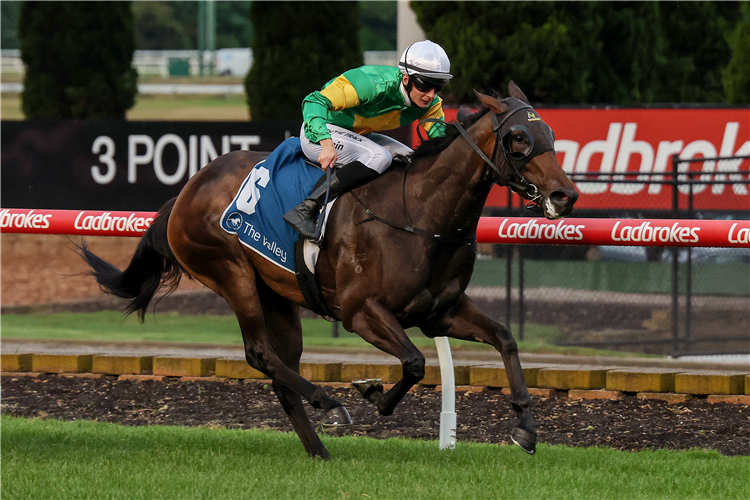 OUR CRACKLIN winning the ROSIE The Legacy Centenary Handicap at Moonee Valley in Australia.