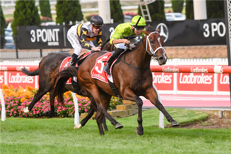 OUR HEIDI winning the Regency Fireplaces Handicap at Moonee Valley in Moonee Ponds, Australia.