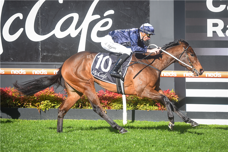 OUTBACK MISS winning the The McCafe Handicap at Caulfield in Australia.