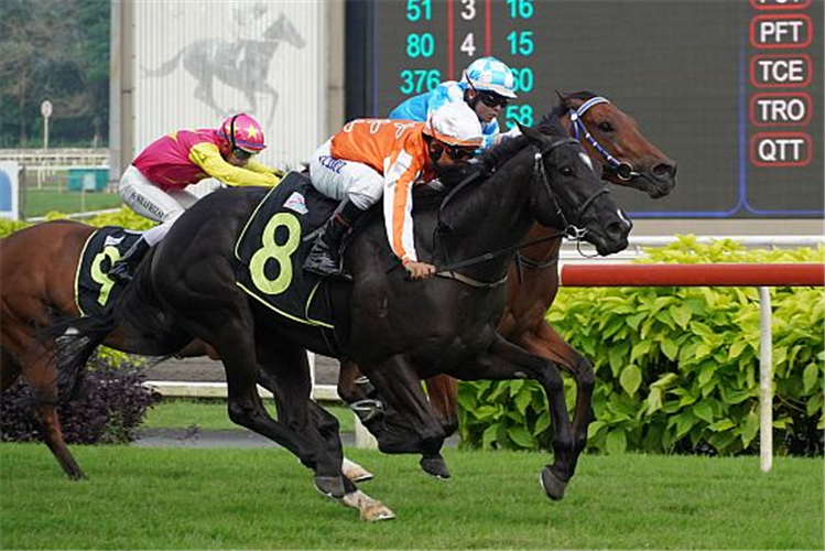 PACIFIC EMPEROR winning the SUPER NINETYSEVEN 2013 STAKES CLASS 1