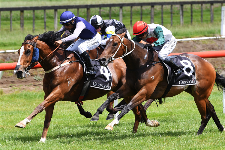 Brennan’s sprinting Rockstar returns to winner’s circle at Tauranga