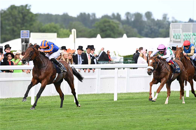 PADDINGTON winning the St James's Palace Stakes at Royal Ascot in England.