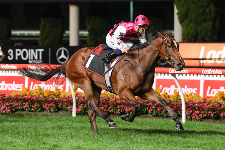 PAPILLON CLUB winning the Dynamic Print Group Alexandra Stakes at Moonee Valley in Moonee Ponds, Australia.