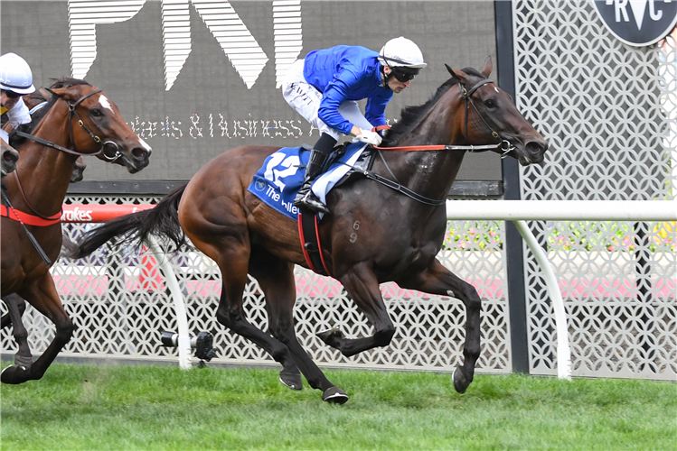 PARISAL winning the PKF Typhoon Tracy Stakes at Moonee Valley in Australia.