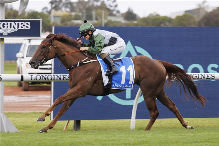 PASSEGGIATA winning the KIA ORA FARNAN HANDICAP at Rosehill in Australia.