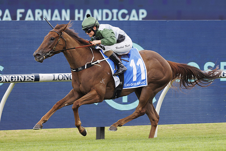 PASSEGGIATA winning the KIA ORA FARNAN HANDICAP