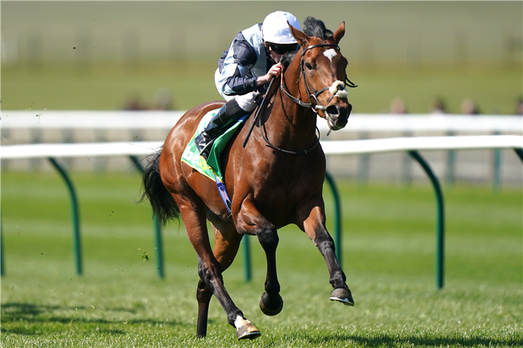 Passenger can state his Betfred Derby case with victory in the Boodles Dee Stakes on day two of Chester's May Festival.