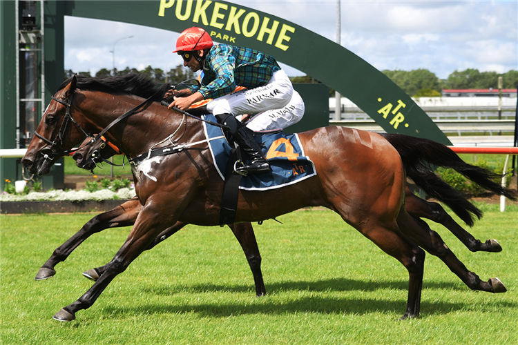 Pendragon on track for Australian Guineas