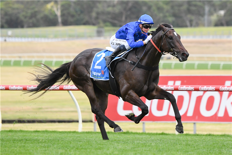 PERICLES winning the Stow Storage Autumn Classic (Hillside) at Sandown in Australia.