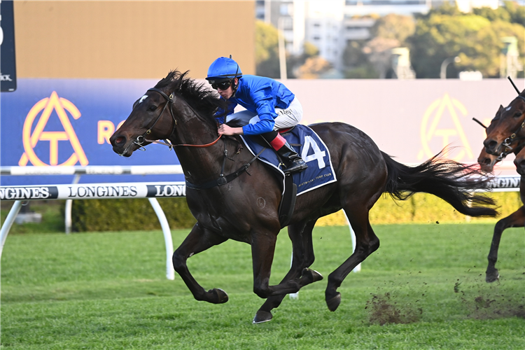 PERICLES winning the AMD MEDICAL TRAMWAY STAKES at Randwick in Australia.