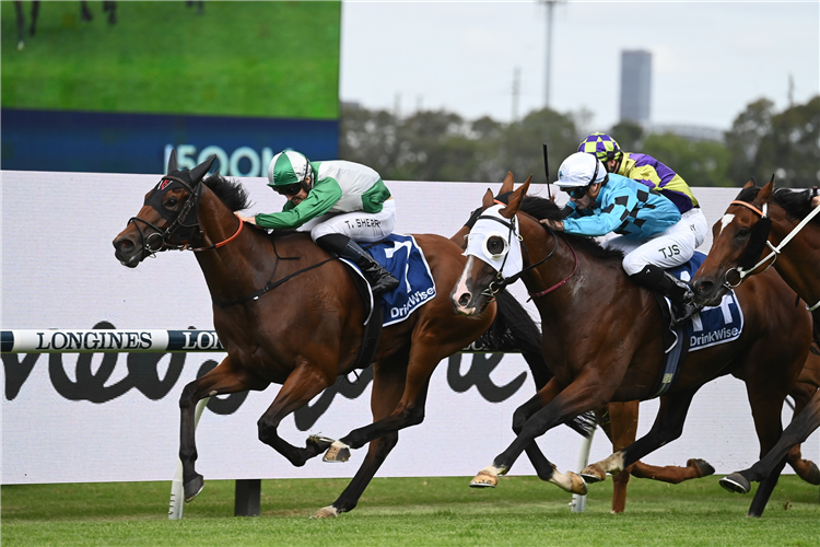 PHEARSON winning the JAMES SQUIRE FESTIVAL STAKES at Rosehill in Australia.