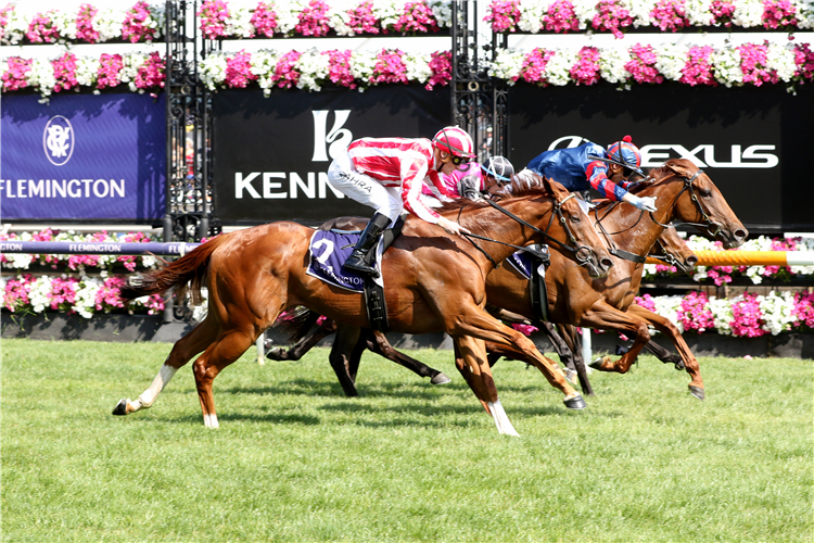 PICAROON winning the Melbourne Cup Carnival Country Final at Flemington in Australia.