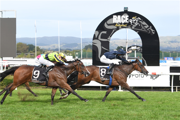 PIGNAN winning the COURTESY FORD MANAWATU SIRES' PRODUCE STAKES