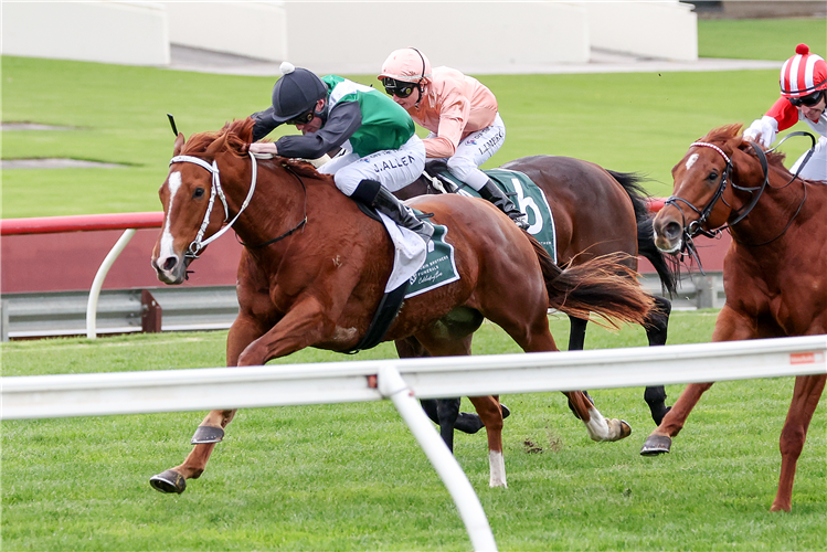 PINTOFF winning the Tobin Brothers Bel Esprit Stakes at Sandown Hillside in Australia.