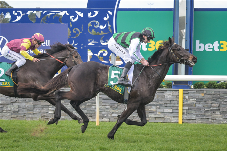 POISON CHALICE winning the Rodericks Insurance Brokers 3YO Mdn Plte at Geelong in Australia.