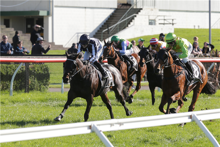 POSER winning the CAMPBELL INFRASTRUCTURE ROTORUA CUP