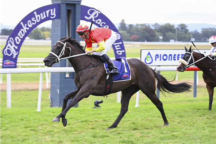 PRINCESS GRACE winning the PIONEER SERVICES HAWKESBURY CROWN at Hawkesbury in Australia.