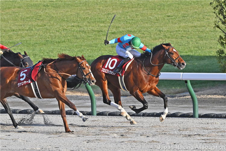 PROMISED WARRIOR winning the Tokai Stakes at Chukyo in Japan.