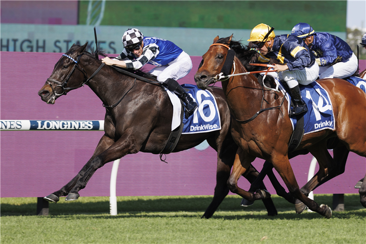 PROTAGONIST winning the FURPHY SKY HIGH STAKES at Rosehill in Australia.