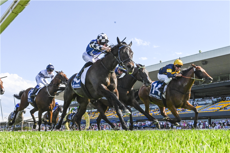 PROTAGONIST winning the FURPHY SKY HIGH STAKES at Rosehill in Australia.