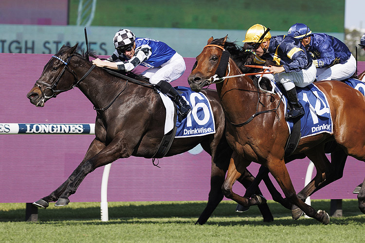 PROTAGONIST winning the FURPHY SKY HIGH STAKES